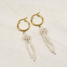 Load image into Gallery viewer, Gold Clio Freshwater Pearl Earrings