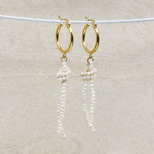 Load image into Gallery viewer, Gold Clio Freshwater Pearl Earrings