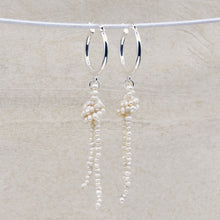 Load image into Gallery viewer, Silver Clio Freshwater Pearl Earrings