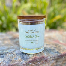 Load image into Gallery viewer, 'Coolabah Tree' Candle - Made At The Ranch