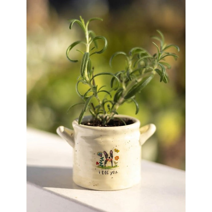 'I Dig You' Crock Planter