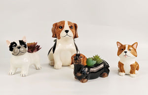 Dark Brown Dachshund Planter 8.5cm