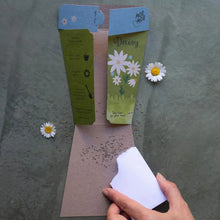 Load image into Gallery viewer, Daisy Gift of Seeds - Card