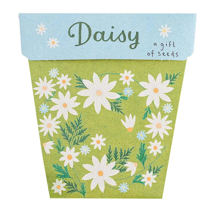 Daisy Gift of Seeds - Card