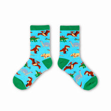 Load image into Gallery viewer, Dinosaurs Socks - Kids 4-6yrs