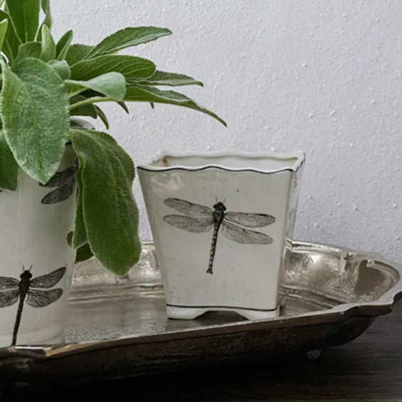 Dragonfly Small Square Planter