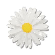 Load image into Gallery viewer, Cut-Leaf Daisy Simplified Mini Brooch - Erstwilder x Royal Botanic Gardens Victoria