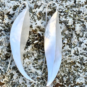 Sterling Silver Eucalyptus Earrings