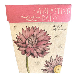 Everlasting Daisy Gift of Seeds - Card