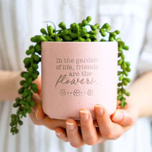 Load image into Gallery viewer, 'Friends' Positive Pot Planter
