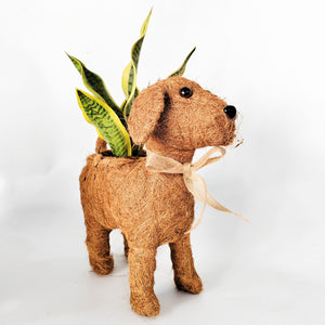 Husk Dog Planter Brown 32cm