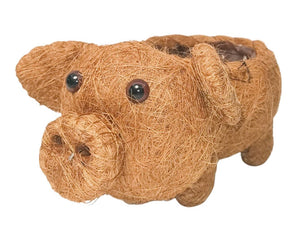 Husk Pig Planter Brown 15cm