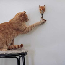 Load image into Gallery viewer, House Cat Ginger - Wildlife Garden