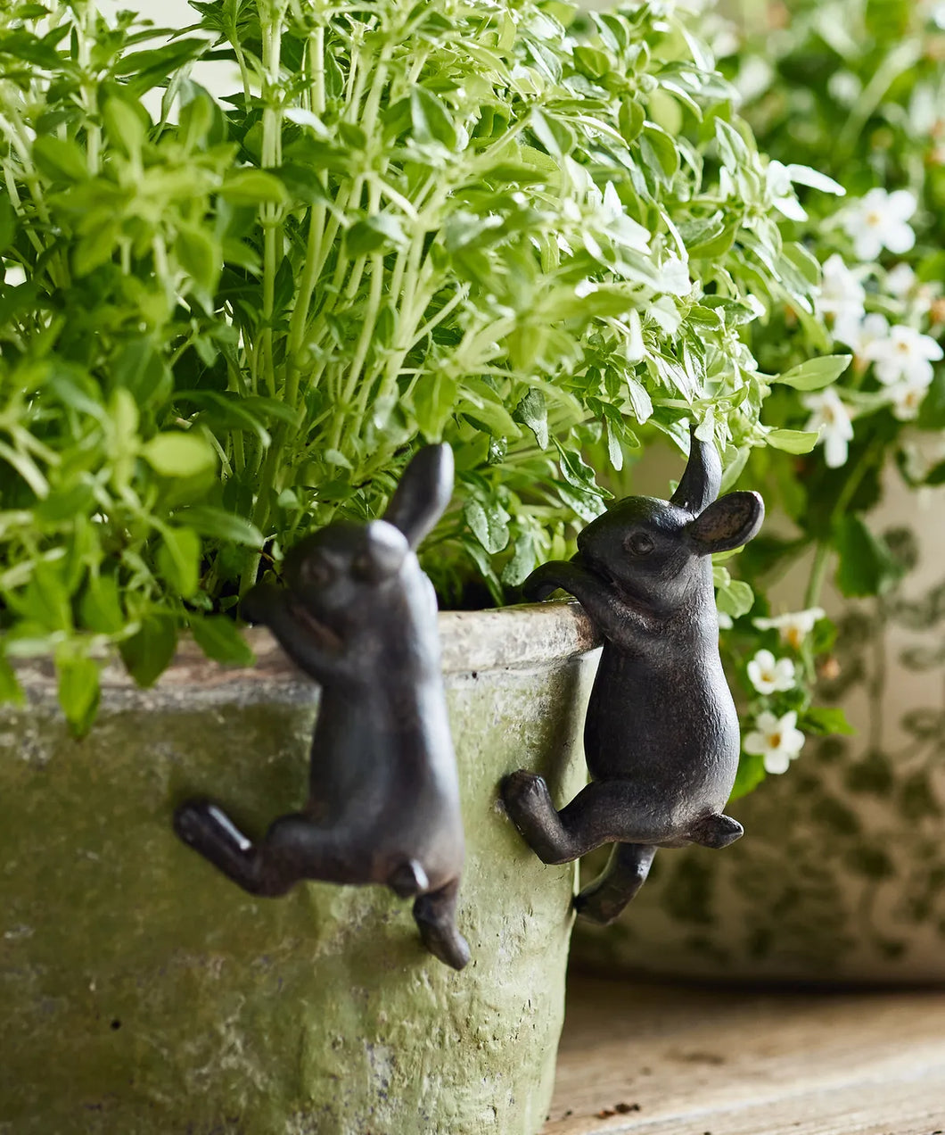 Brown Bunny Pot Hanger