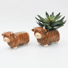 Load image into Gallery viewer, Small Highland Cow Planter 14cm