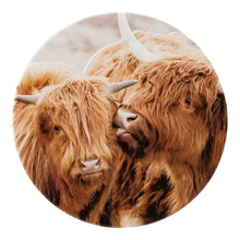 Load image into Gallery viewer, Highland Cows &#39;Home Sweet Home&#39; Ceramic Coaster