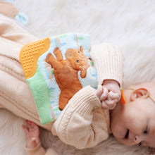 Load image into Gallery viewer, Hetty Highland Cow Crinkle Teether
