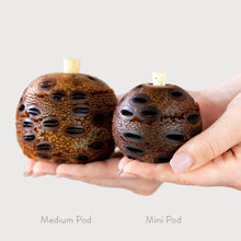 Load image into Gallery viewer, Scented Mini Banksia Aroma Pod Diffuser