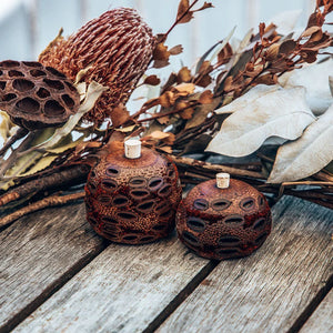 Scented Mini Banksia Aroma Pod Diffuser