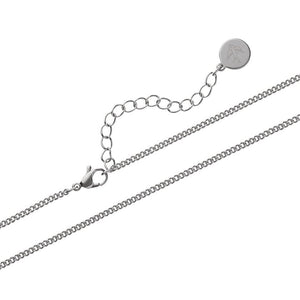 Necklace Chain - Erstwilder