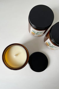 Orange and Grapefruit Soy Candle