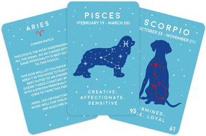Paw-Mistry Dog Edition Cards