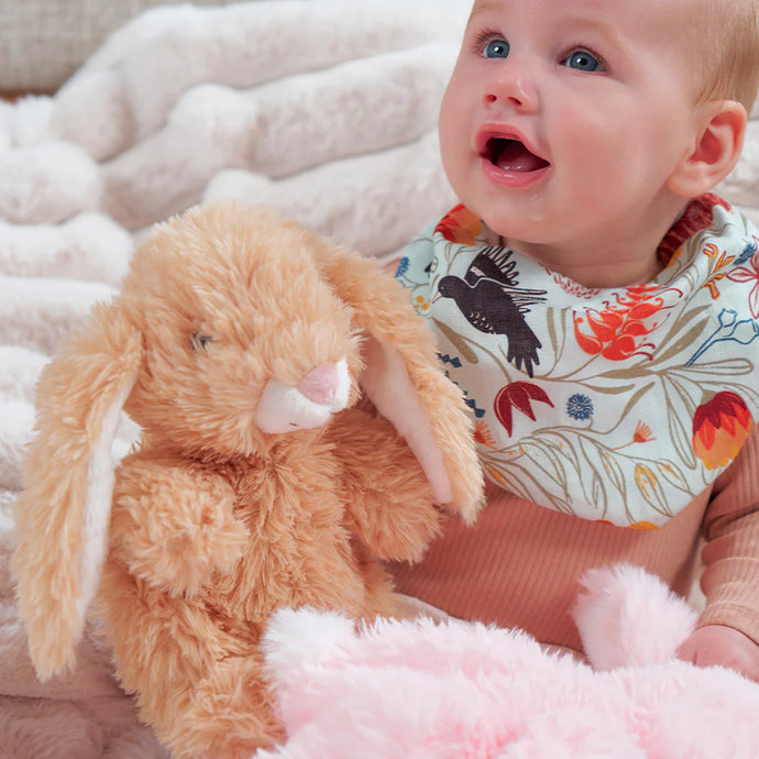 Biscuit Heatable Bunny