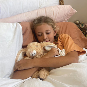 Biscuit Heatable Bunny