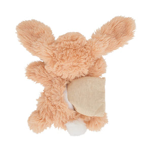 Biscuit Heatable Bunny