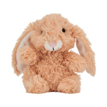 Load image into Gallery viewer, Biscuit Heatable Bunny