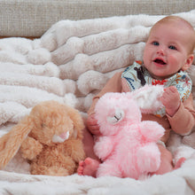 Load image into Gallery viewer, Biscuit Heatable Bunny