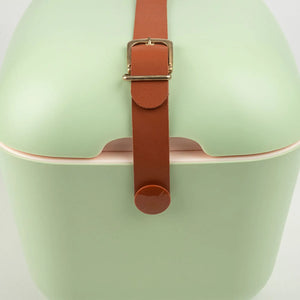 20L Sage Polarbox Gold Cooler