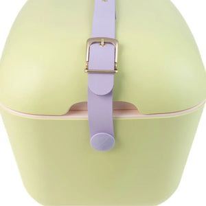 12L Lime/Lilac Polarbox Pop Cooler