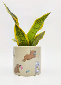 Aussie Animals Pot Planter 14cm