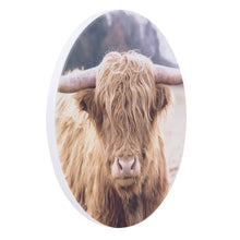 Load image into Gallery viewer, Highland Cow Rustic Meadow Ceramic Coaster