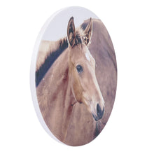 Load image into Gallery viewer, Foal Rustic Meadow Ceramic Coaster
