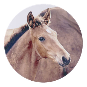 Foal Rustic Meadow Ceramic Coaster