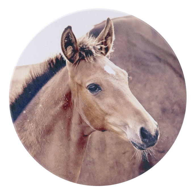 Foal Rustic Meadow Ceramic Coaster
