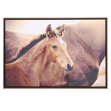 Load image into Gallery viewer, Horse Rustic Meadow Framed Canvas 94x64