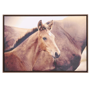 Horse Rustic Meadow Framed Canvas 94x64