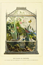 Load image into Gallery viewer, Vivarium Lavender Scented Sachet