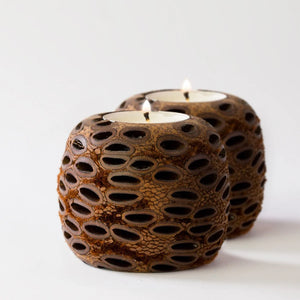 Banksia Pod Ball Tea Lights - Set of 2