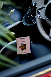 Summer Berry Pavlova Christmas Felt Air Freshener