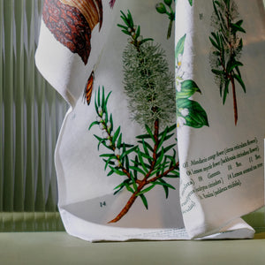 Terra Botanica Tea Towel - Koala Eco