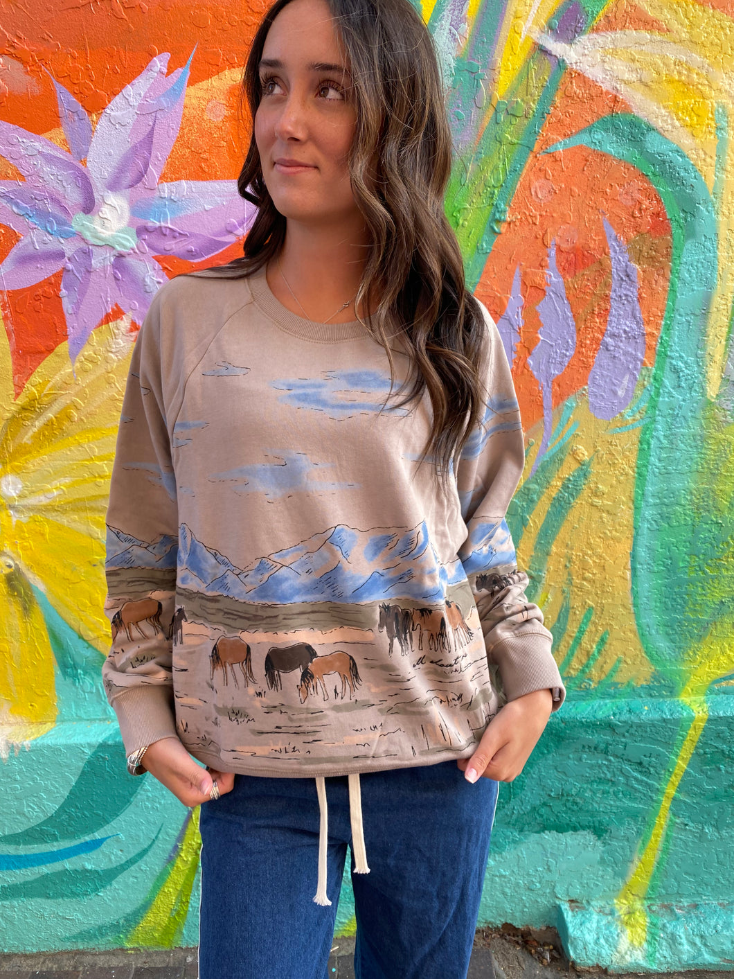 Wild Horses Box Raglan Crew Sweater in Stone - All About Eve