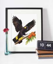 Load image into Gallery viewer, Yellow Tail Black Cockatoo Wooden Puzzle