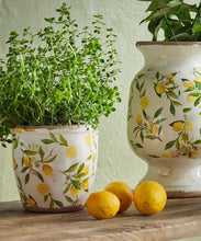 Load image into Gallery viewer, Small Botanical Lemon Pot