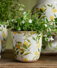Load image into Gallery viewer, Small Botanical Lemon Pot