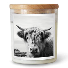 Load image into Gallery viewer, Highland Cow – Large Commonfolk Collective Candle