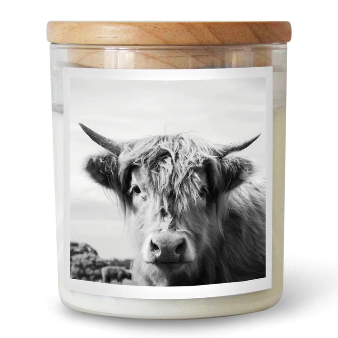 Highland Cow – Large Commonfolk Collective Candle